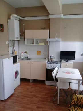 Apartment on Naberezhnaya 4/1